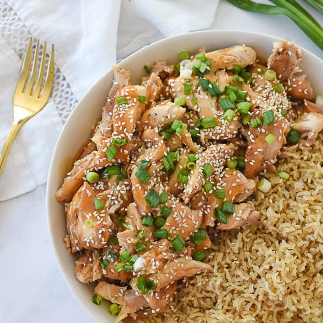 BOWL OF RICE AND SESAME CHICKEN