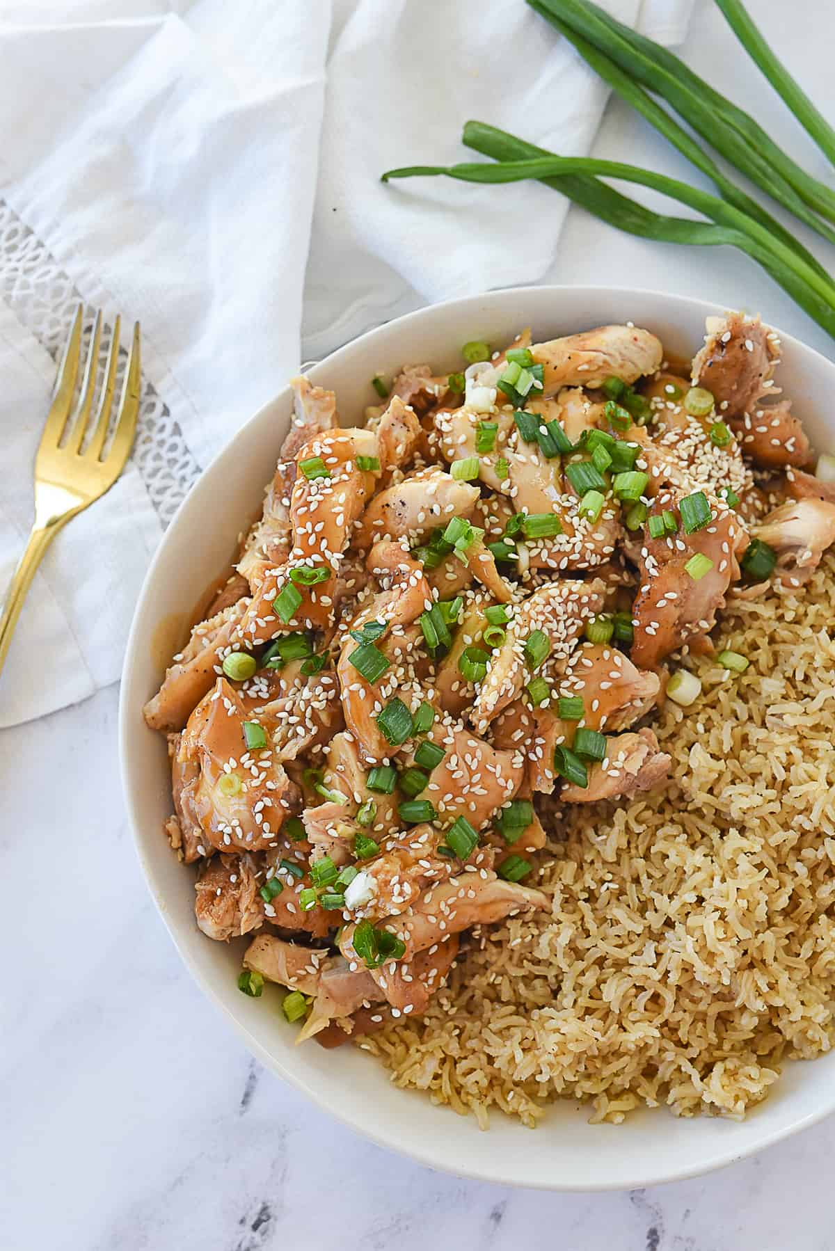 BOWL OF RICE AND SESAME  CHICKEN