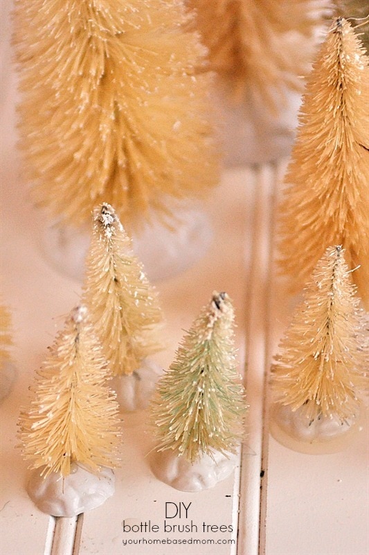 Bottle Brush Trees