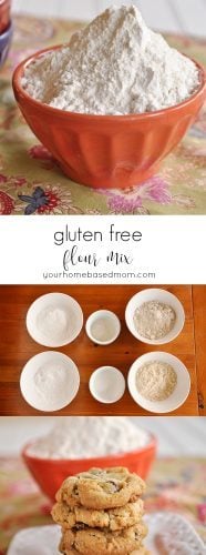 Gluten Free Flour Mix Recipe | by Leigh Anne Wilkes