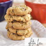 Gluten Free Chocolate Chip COokie