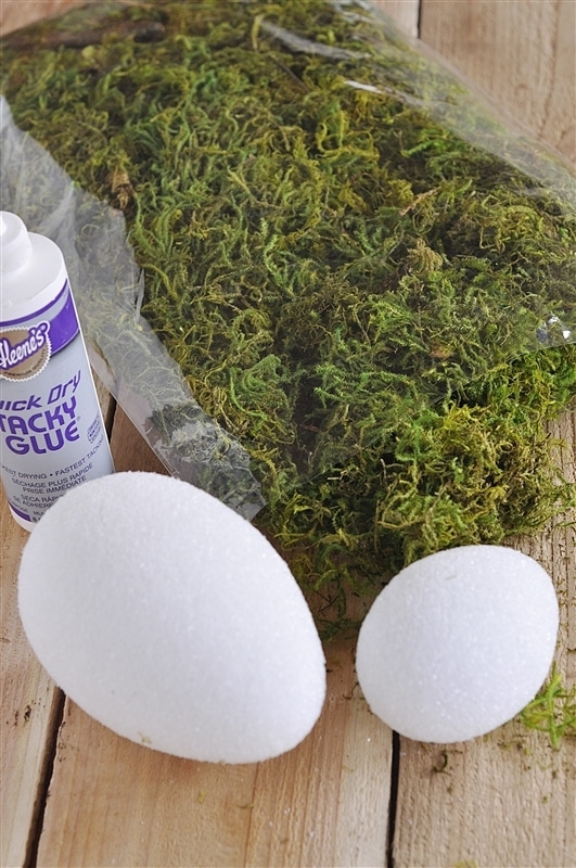 DIY Moss Eggs
