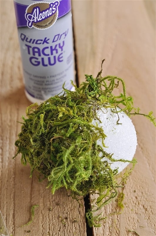 DIY Moss Eggs