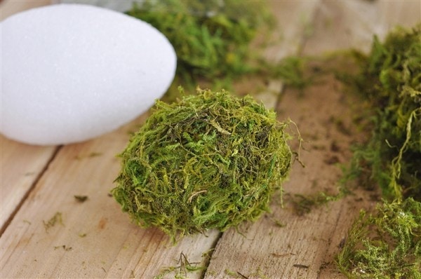 covering a Styrofoam egg in moss