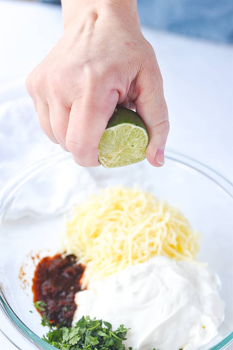 chipotle dip ingredients in a bowl