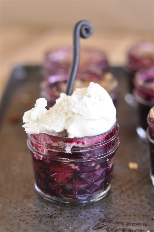 Fresh Blueberry Ice Cream  Recipe by Leigh Anne Wilkes