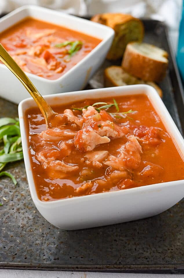 Tarragon Chicken Soup Recipe by Leigh Anne Wilkes