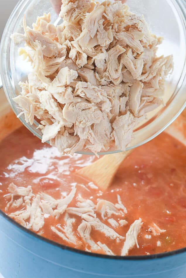 Tarragon Chicken Soup Recipe by Leigh Anne Wilkes