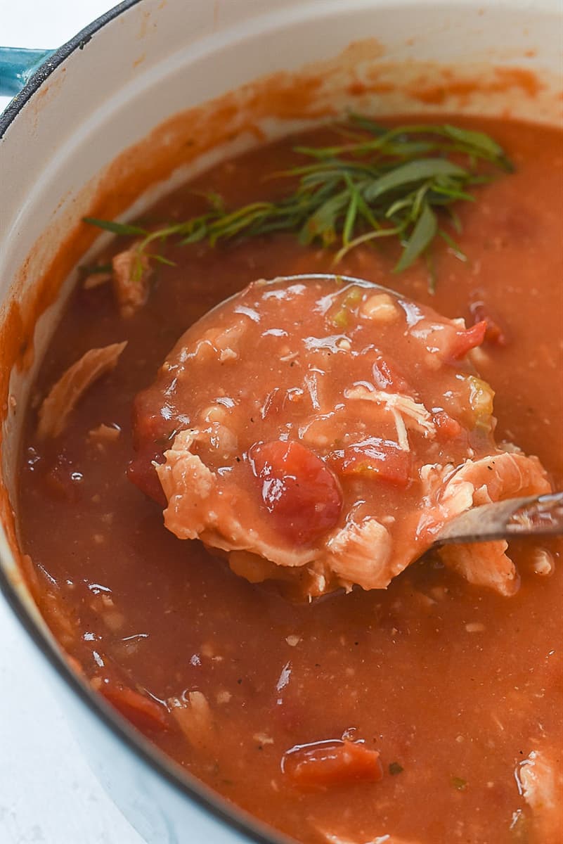 pot of tarragon chicken soup