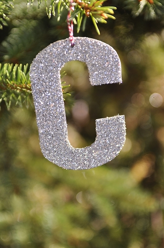 Glitter Ornament