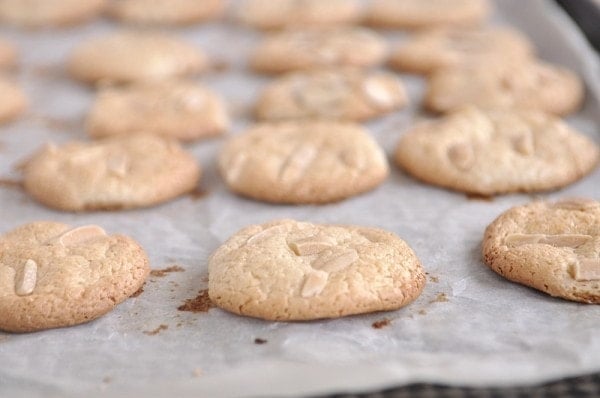 Italian Almond Cookies cooling on cookie sheet