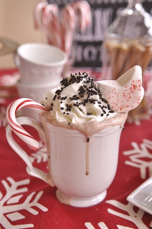 https://www.yourhomebasedmom.com/wp-content/uploads/2013/12/Hot-Chocolate-Bar_0008.jpg