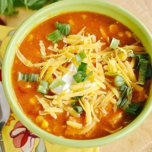 Chicken Enchilada Soup Recipe | Your Homebased Mom