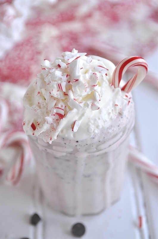 Peppermint Chocolate Chip Milkshake
