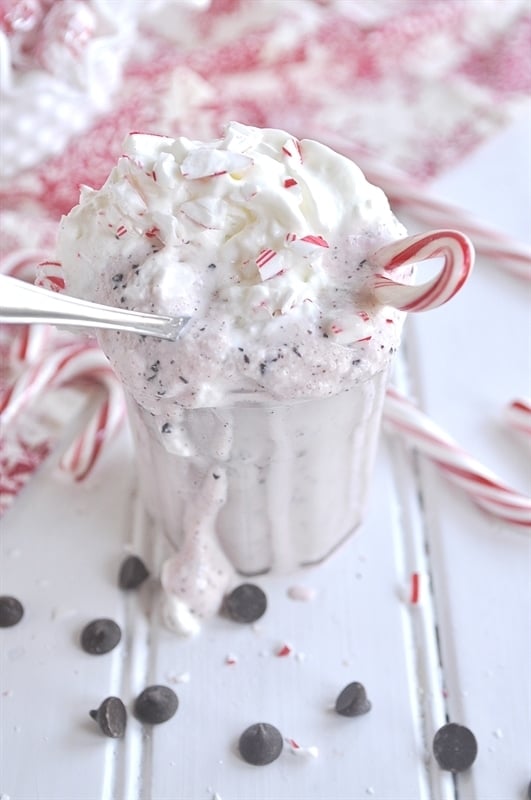 Peppermint Chocolate Chip Milkshake