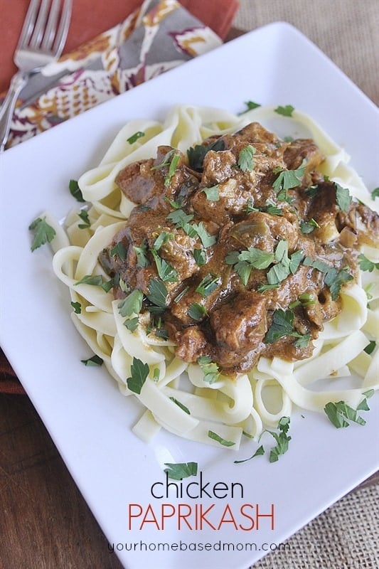 chicken paprikash served over noodles