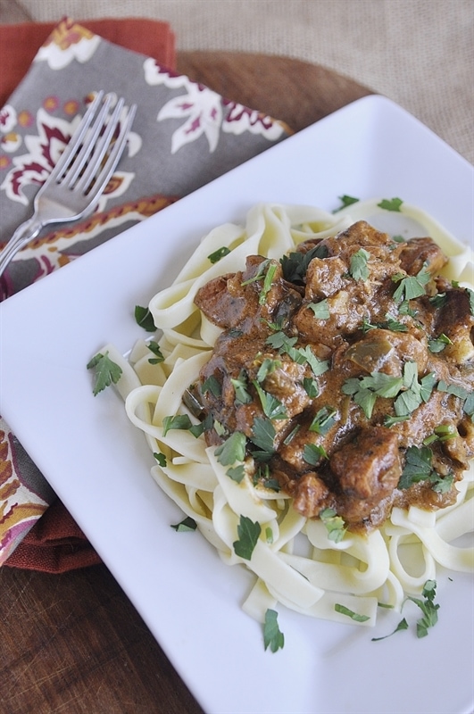 hungarian chicken paprikash over egg noodles