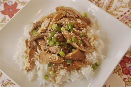 Teriyaki-Chicken_00021-500x331