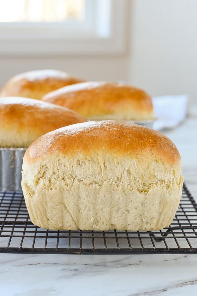 Bread in a Bag Recipe  Recipe by Leigh Anne Wilkes