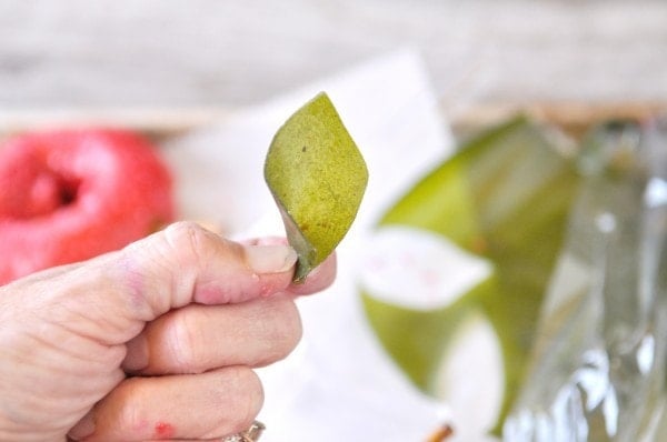 apple donut leaf