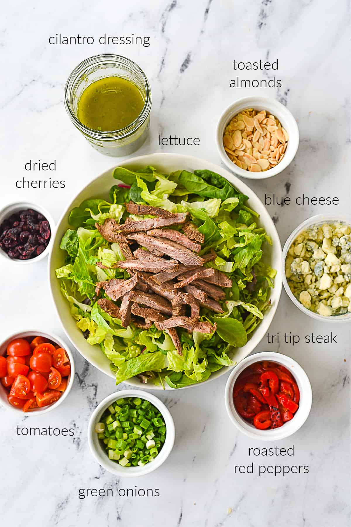 steak salad ingredients overhead shot