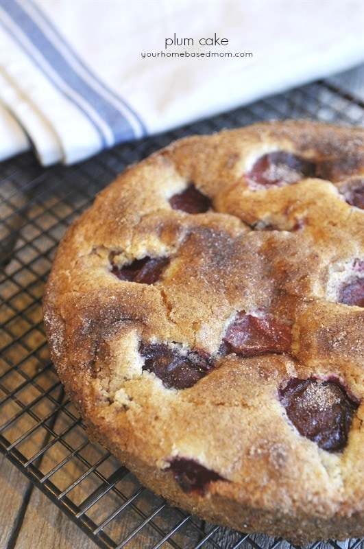 Plum Cake