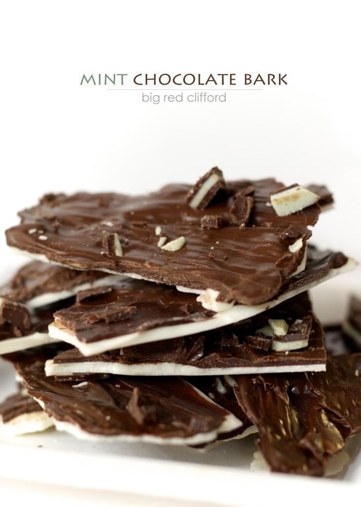 25 Mint Desserts Roundup - Your Homebased Mom