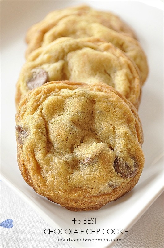 Chocolate Chip Cookie