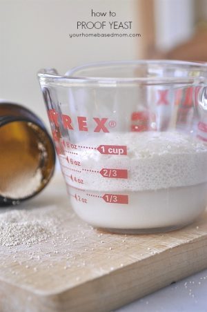 How to Proof Yeast | Your Homebased Mom | Proofing Yeast