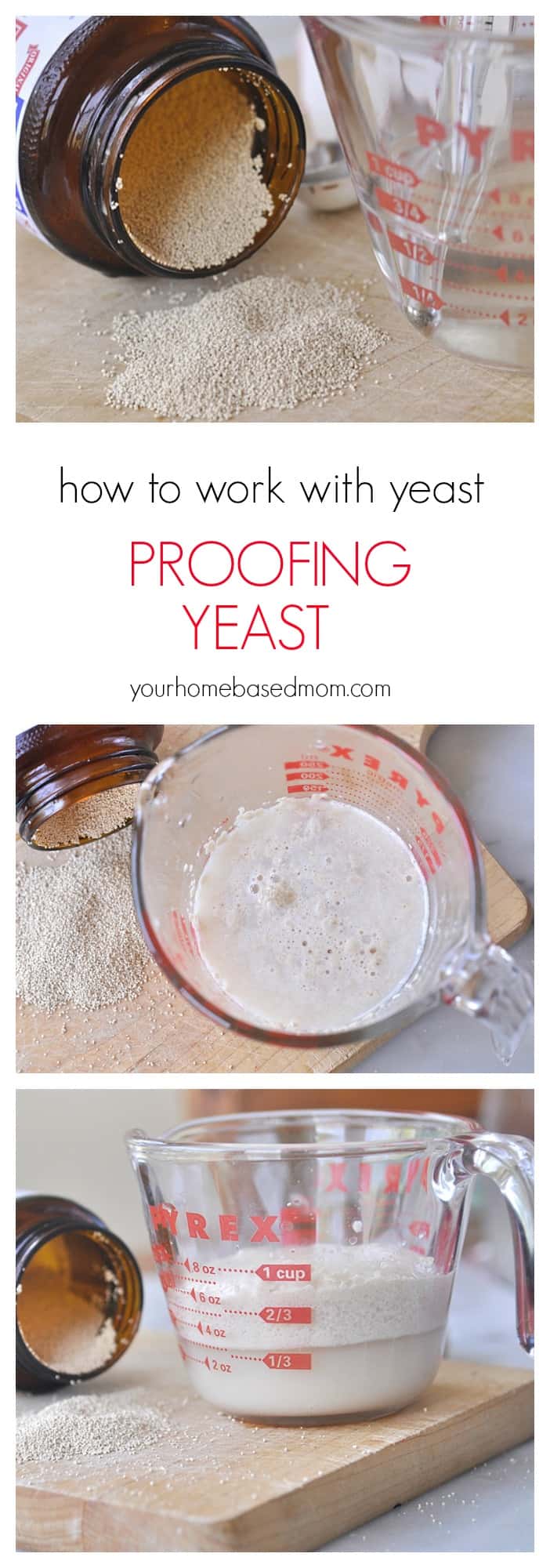 How to Proof Yeast - step by step guide to proofing yeast