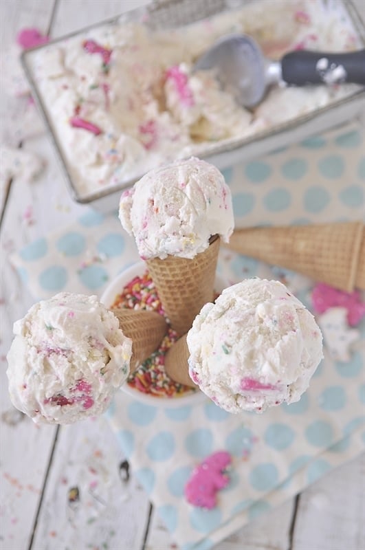 Circus Animal Cookies  and Sprinkles Ice Cream