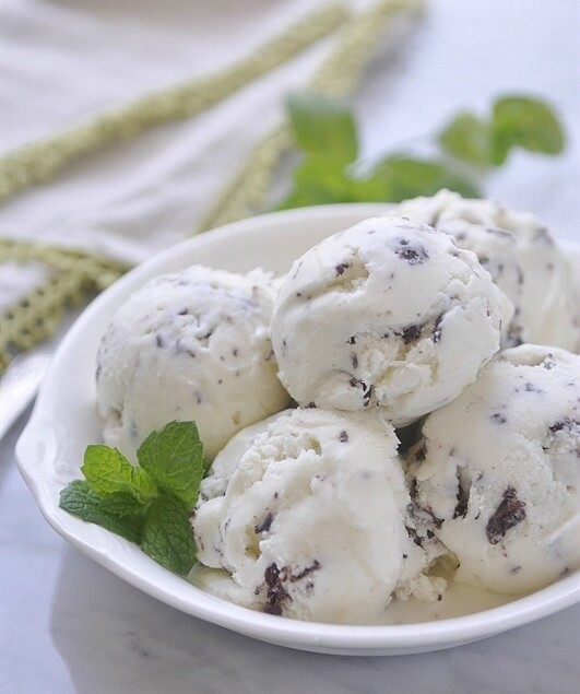 Fresh mint chocolate chip ice cream recipe cuisinart sales