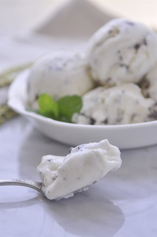 Spoonful of fresh mint gelato