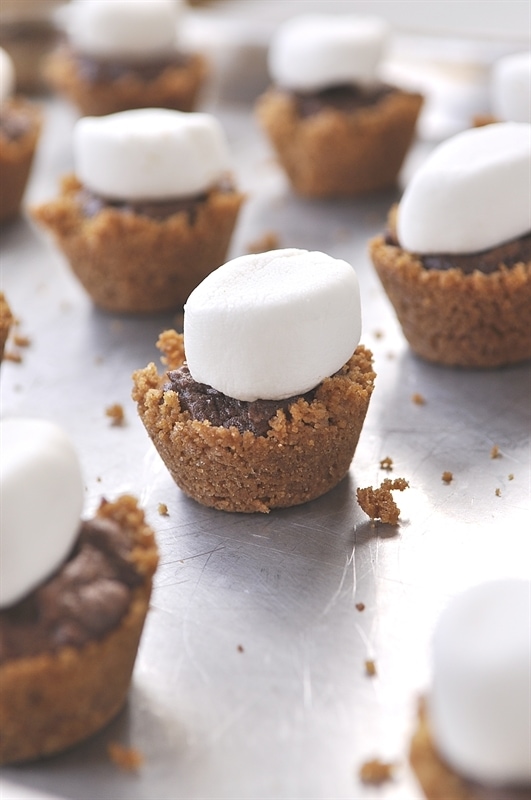 Mini S'mores Tarts