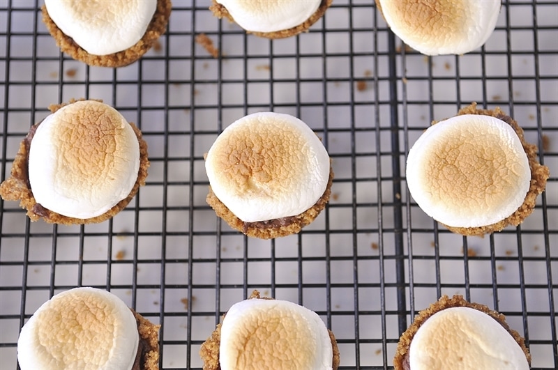  and put them under the broiler until the top of the marshmallow is golden brown. Watch them closely so they don't burn.