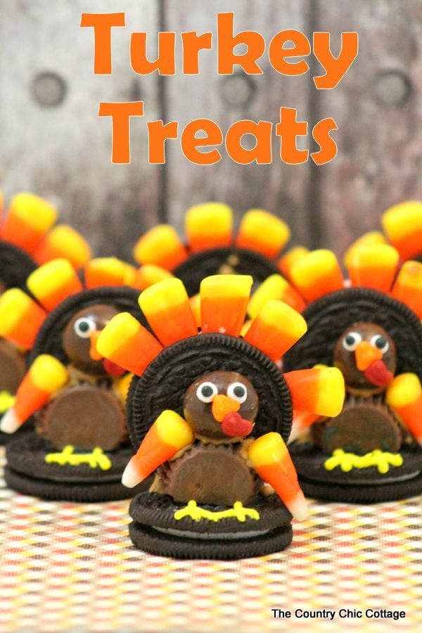 easy-to-make-turkey-treats-006