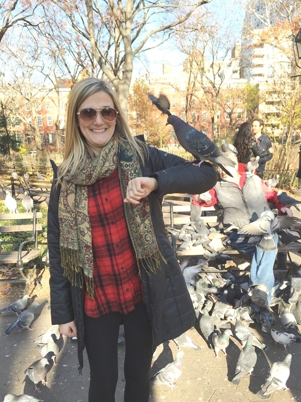 Pigeons in Washington Square Park