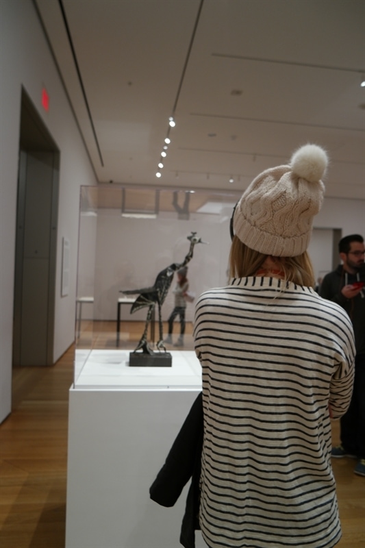 Picasso Exhibit