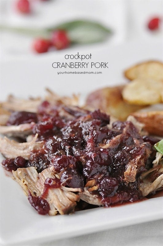 Crockpot Cranberry Pork Your Homebased Mom