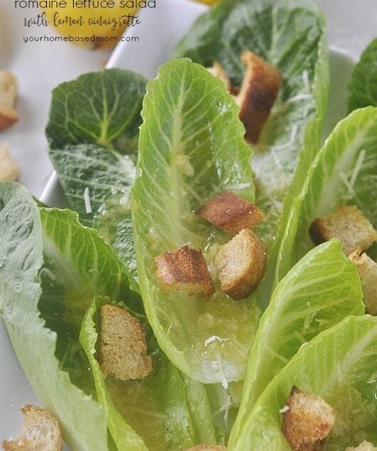 overhead shot of romaine lettuce salad
