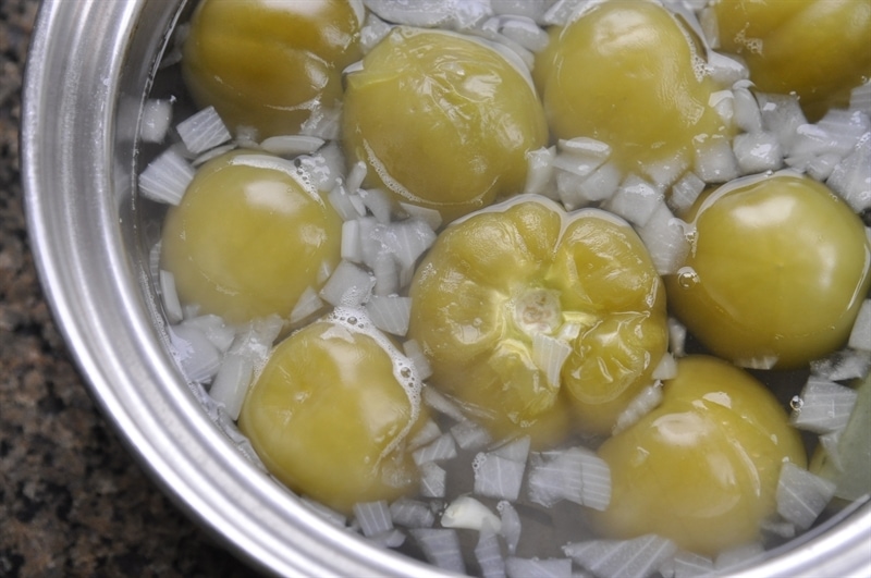 Blender Salsa Verde Your Homebased Mom