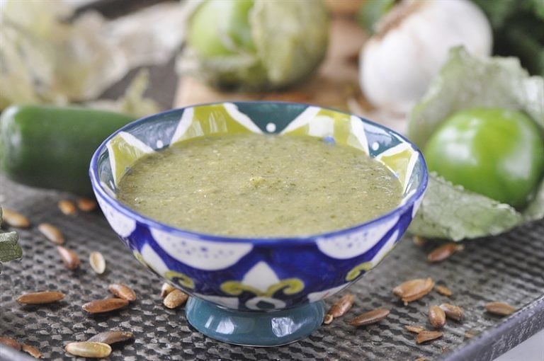 Blender Salsa Verde Your Homebased Mom