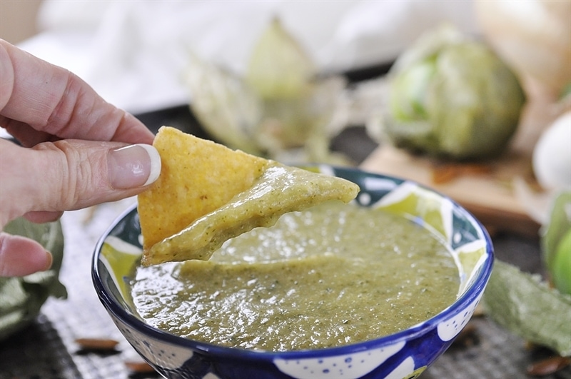 Blender Salsa Verde Your Homebased Mom