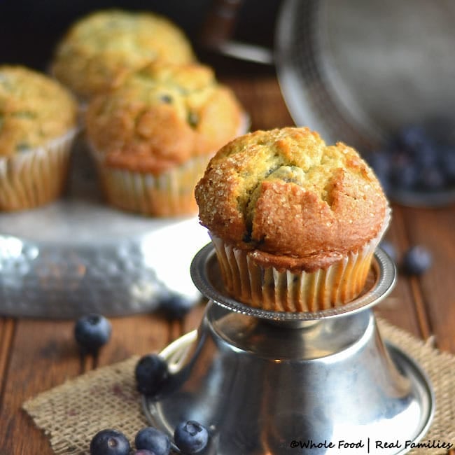 Blueberry-Muffins-with-Lemon-Zest-650x650-wood-back-w-cr
