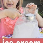 Ice Cream in a Bag