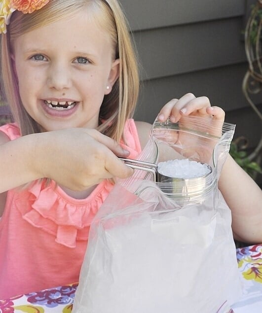 Ice Cream in a Bag