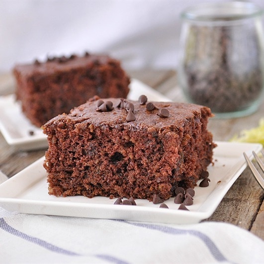 Double Chocolate Zucchini Cake - nobody will even know this dessert is healthy if you don't tell them what's in it! From Your Homebased Mom via www.thirtyhandmadedays.com