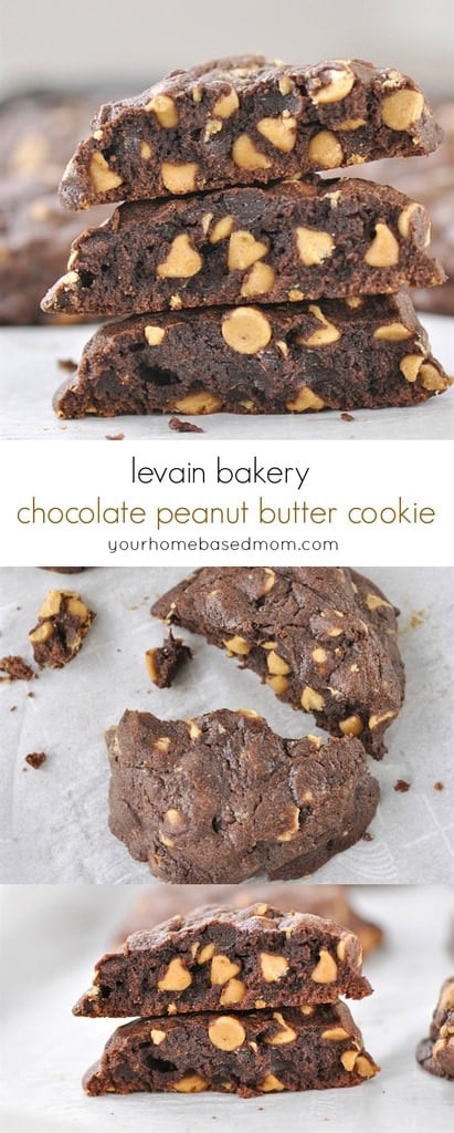 Levain Bakery Dark Chocolate Peanut Butter Chip Cookie
