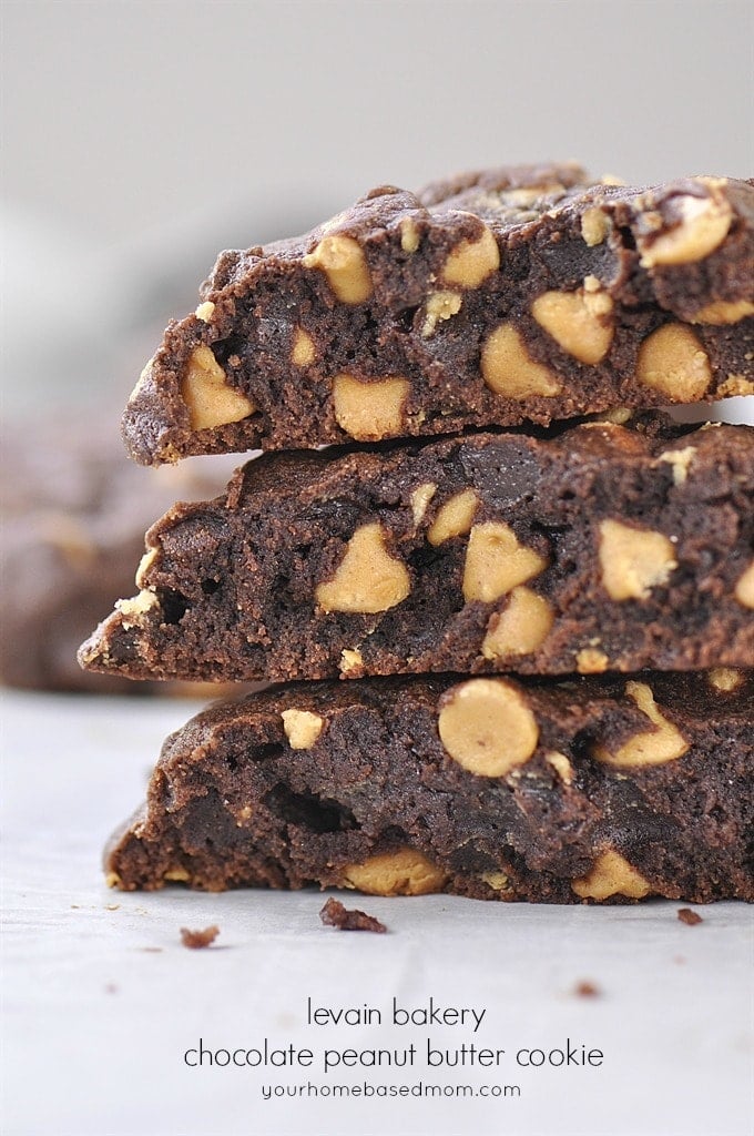 chocolate peanut butter cookies