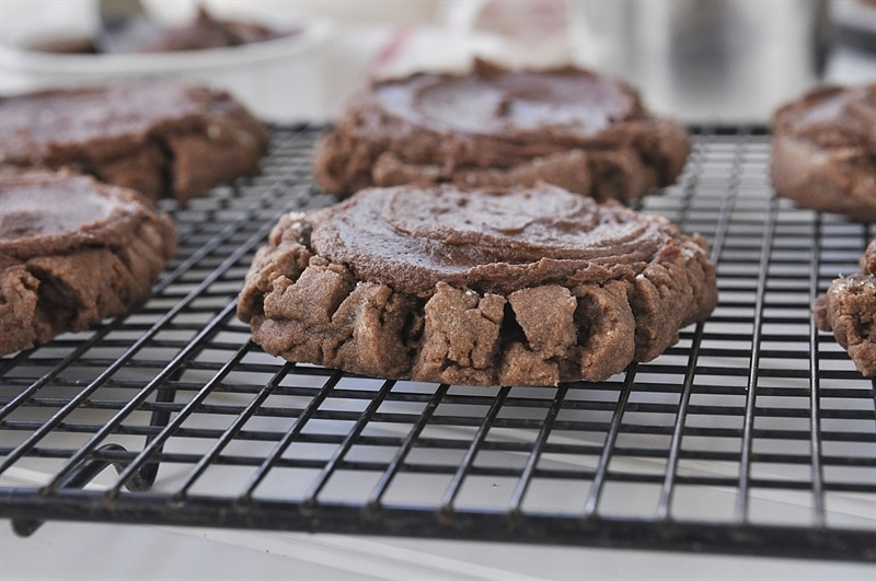 chocolate frosted chocolate sugar cookie